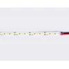 Светодиодная лента Ambrella Light 14,4W/m 180LED/m 2835SMD холодный белый 5M GS1303 Светодиодная лента Ambrella Light 14,4W/m 180LED/m 2835SMD холодный белый 5M GS1303