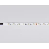 Светодиодная лента Ambrella Light 10W/m 60LED/m 5050SMD RGBW+теплый белый 5M GS4401 Светодиодная лента Ambrella Light 10W/m 60LED/m 5050SMD RGBW+теплый белый 5M GS4401