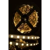 Светодиодная лента SWG 4,8W/m  60Led/m 3528SMD теплый белый 5M SWG360-12-4.8-WW-М 009252
