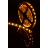 Светодиодная лента SWG 14,4W/m  60Led/m 5050SMD желтый 5M SWG560-12-14.4-Y-M 009262