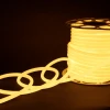 Гибкий неон Elektrostandard 9,6W/m 144LED/m 2835SMD теплый белый 50M a052998 Гибкий неон Elektrostandard 9,6W/m 144LED/m 2835SMD теплый белый 50M a052998