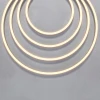Светодиодный гибкий неон Maytoni LED Strip 9,6W/m 120LED/m теплый белый 5 м 20066