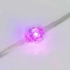 Светодиодный модуль Arlight SPI-F2-D22 12V RGB 036776 Светодиодный модуль Arlight SPI-F2-D22 12V RGB 036776