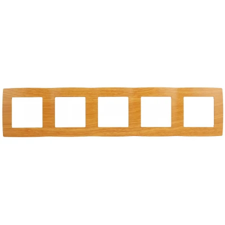 Рамка 5-постовая ЭРА 12 12-5005-07 Б0014787