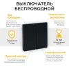 Выключатель двухклавишный беспроводной Feron Smart черный TM82 41723