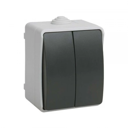 Выключатель двухклавишный IEK Fors серый EVS20-K03-10-54-DC