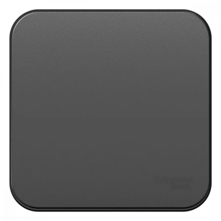 Выключатель одноклавишный Systeme Electric Blanca 10A 250V антрацит BLNVA101016