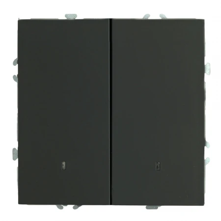 Выключатель 2-клавишный c индикатором (механизм), STEKKER, 250В, 10А, серия Эмили, RSW10-5102-05, черный уголь, soft touch 49838