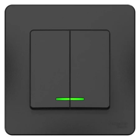 Выключатель двухклавишный Systeme Electric Blanca 10A 250V с подсветкой антрацит BLNVS010516