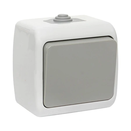 Мурманск Выключатель 1 -клавишный 10А IP54 серый EKF EFV10-021-30-54