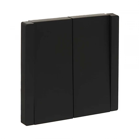 FORTE&PIANO Выключатель 2-клавишный 10А FP105 черный IEK FP-V20-0-10-1-K02