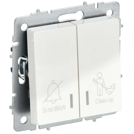 BRITE Выключатель 2-клавишный с индикацией для отелей 10А ВС10-2-9-БрБ белый IEK BR-V20-2-10-K01