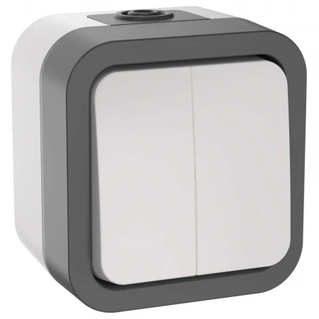 TORS Выключатель двухклавишный 10А IP55 TS205 серо-белый IEK TS-V20-0-10-55-K41