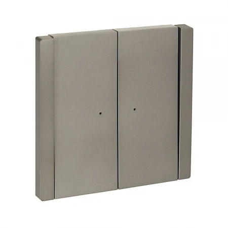 FORTE&PIANO Выключатель 2-клавишный проходной с индикацией 10А FP508 сталь IEK FP-V22-1-10-1-K46