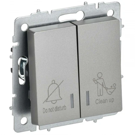 BRITE Выключатель 2-клавишный с индикацией для отелей 10А ВС10-2-9-БрС сталь IEK BR-V20-2-10-K46