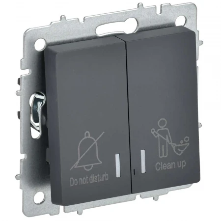 BRITE Выключатель 2-клавишный с индикацией для отелей 10А ВС10-2-9-БрГ графит IEK BR-V20-2-10-K53