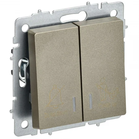 BRITE Выключатель 2-клавишный с индикацией для отелей 10А ВС10-2-9-БрШ шампань IEK BR-V20-2-10-K37