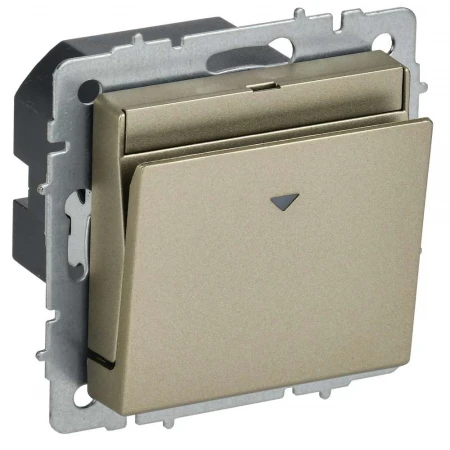BRITE Выключатель карточный 30А ВС10-1-8-БрШ шампань IEK BR-V11-0-10-K37