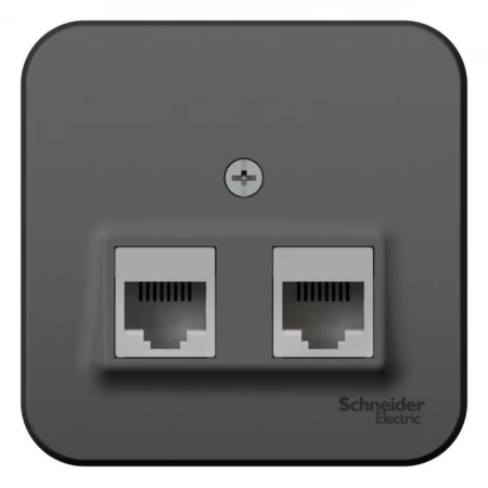 Розетка компьютерная двойная RJ45 Systeme Electric Blanca 5e кат UTP антрацит BLNIA045456