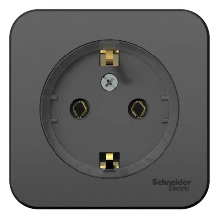 Розетка 2К+З Systeme Electric Blanca 16A 250V антрацит BLNRA110116