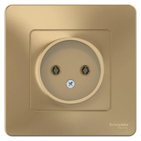 Розетка 2К Systeme Electric Blanca 16A 250V титан BLNRS000014