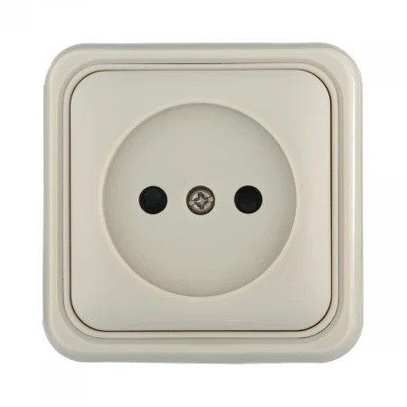 Розетка LK Studio открытой установки без заземляющих контактов с защитными шторками (бежевый) 813301