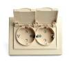 Розетка 2-местная 2P+PE Stekker Эрна с крышкой слоновая кость PST16-9015-02 49137 Розетка 2-местная 2P+PE Stekker Эрна с крышкой слоновая кость PST16-9015-02 49137