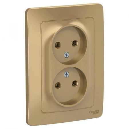 Розетка двойная 2К Systeme Electric Blanca 16A 250V титан BLNRS000024