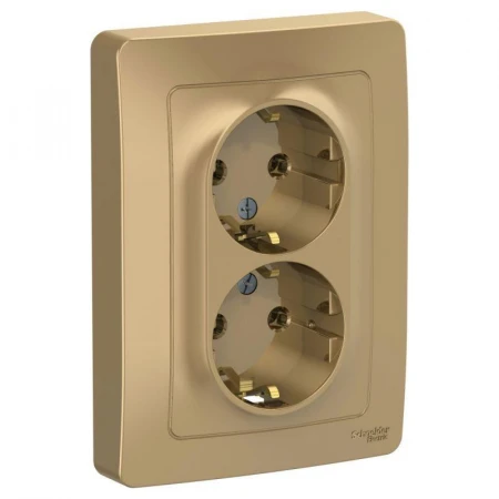 Розетка двойная 2К+З Systeme Electric Blanca 16A 250V титан BLNRS001024