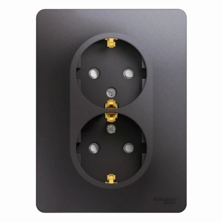 Розетка двойная 2К+З Systeme Electric Glossa 16A 250V со шторками графит GSL001326