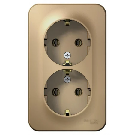 Розетка двойная 2К+З Systeme Electric Blanca 16A 250V титан BLNRA010214