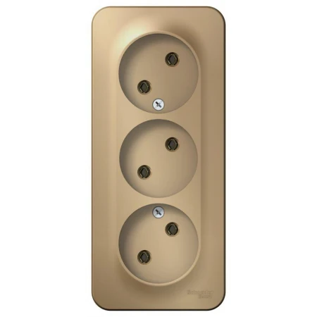 Розетка тройная 2К Systeme Electric Blanca 16A 250V титан BLNRA000314