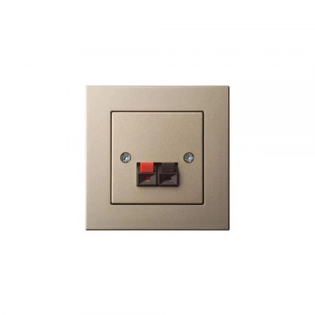 Аудиорозетка Liregus Epsilon шампань 28-324