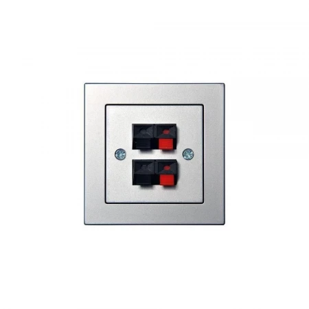 Аудиорозетка двойная Liregus Epsilon серебро 28-1845