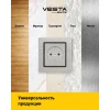 Розетка 2P+E Vesta-Electric Exclusive Silver Metallic серебро FRZ00041011SER