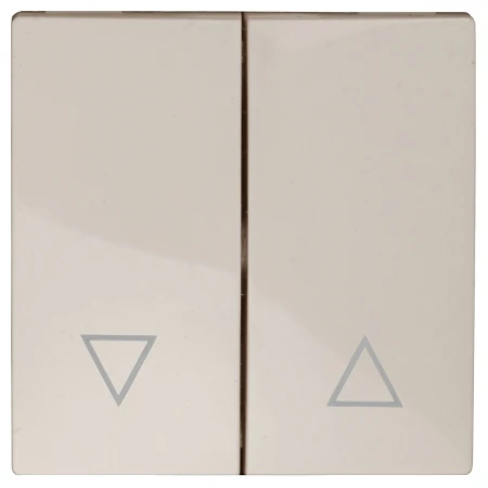 Лицевая панель ЭРА выключателя двухклавишного слоновая кость 12-6203-02 Б0047851