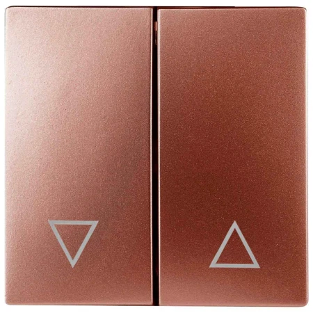 Лицевая панель ЭРА выключателя двухклавишного медь 12-6203-14 Б0047858