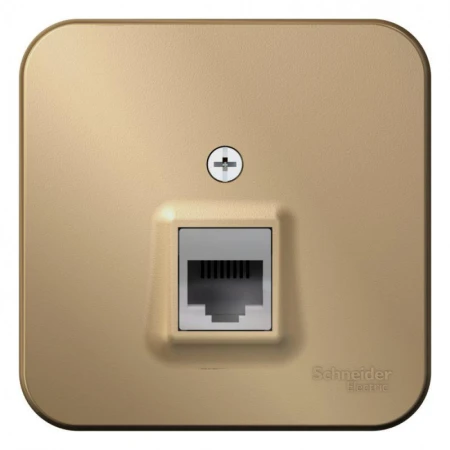 Розетка компьютерная RJ45 Systeme Electric Blanca 5e кат UTP титан BLNIA045004