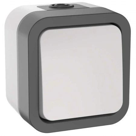 TORS Переключатель одноклавишный 10А IP55 TS201 серо-белый IEK TS-V10-0-10-55-K41