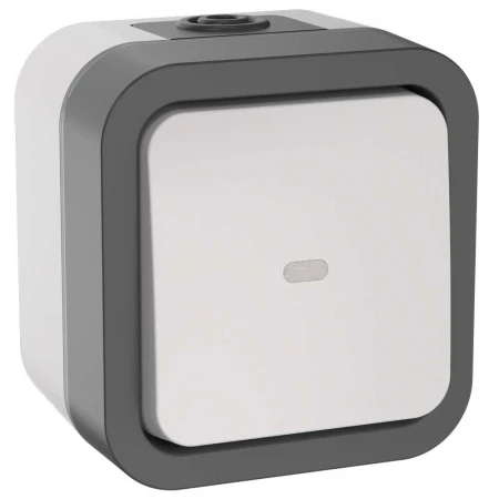 TORS Переключатель одноклавишный с индикацией 10А IP55 TS202 серо-белый IEK TS-V10-1-10-55-K41