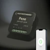 Реле Wi-Fi Elektrostandard 76006/00 4690389185069 Реле Wi-Fi Elektrostandard 76006/00 4690389185069