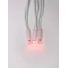 Светодиодная гирлянда Uniel занавес 220V красный ULD-C2030-240/TWK RED IP67 UL-00001357