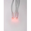 Светодиодная гирлянда Uniel занавес 220V красный ULD-C2030-240/SWK RED IP67 UL-00001362