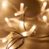 Уличная светодиодная гирлянда Ardecoled нить 230V теплый белый ARD-String-Classic-10000-White-100Led-Std Warm 025809 Уличная светодиодная гирлянда Ardecoled нить 230V теплый белый ARD-String-Classic-10000-White-100Led-Std Warm 025809