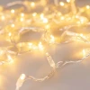 Уличная светодиодная гирлянда Ardecoled нить 230V теплый белый ARD-String-Classic-10000-Clear-100Led-Flash Warm/Warm 025814 Уличная светодиодная гирлянда Ardecoled нить 230V теплый белый ARD-String-Classic-10000-Clear-100Led-Flash Warm/Warm 025814