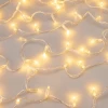 Уличная светодиодная гирлянда Ardecoled нить 230V теплый белый ARD-String-Classic-10000-Clear-100Led-Flash Warm/Warm 025814 Уличная светодиодная гирлянда Ardecoled нить 230V теплый белый ARD-String-Classic-10000-Clear-100Led-Flash Warm/Warm 025814