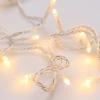 Светодиодная гирлянда Ardecoled нить 230V теплый белый ARD-String-Home-5000-Clear-50Led-Std Warm 025749 Светодиодная гирлянда Ardecoled нить 230V теплый белый ARD-String-Home-5000-Clear-50Led-Std Warm 025749