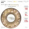 Светодиодная гирлянда ЭРА нить 220V теплый свет ENIN -10NW Б0047964 Светодиодная гирлянда ЭРА нить 220V теплый свет ENIN -10NW Б0047964