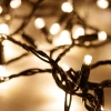 Уличная светодиодная гирлянда Ardecoled нить 230V теплый белый ARD-String-Classic-10000-Black-100Led-Std Warm 025794 Уличная светодиодная гирлянда Ardecoled нить 230V теплый белый ARD-String-Classic-10000-Black-100Led-Std Warm 025794