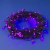 Светодиодная гирлянда Uniel 220V розовый ULD-S1000-100/DGA Pink IP20 UL-00008406 Светодиодная гирлянда Uniel 220V розовый ULD-S1000-100/DGA Pink IP20 UL-00008406